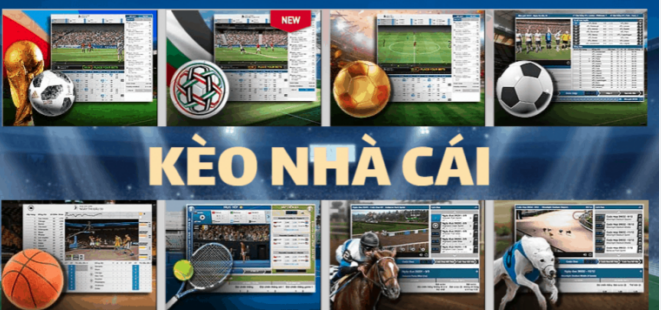 Kèo Trên Kèo Dưới Là Gì? Hướng Dẫn Đặt Kèo Trên Dưới Kubet CC Ku bet